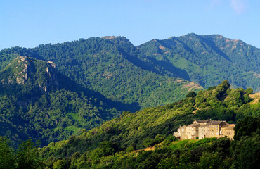 Velone Orneto village and chestnut grove in Corsica mountain 