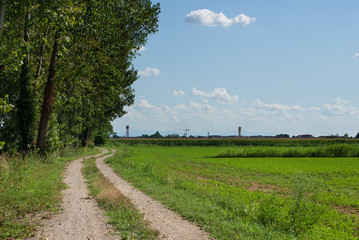 paesaggio di campagna in estate
