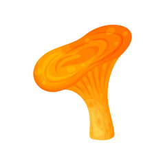 Colorful fresh autumn wild forest mushroom. Cartoon flat style silhouettes icons. Great autumn design concept elements. Vector illustration.