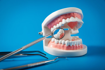 dental hygiene and treatment - tooth model and dentist tools on blue background