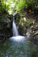 愛媛県大洲市　白滝公園　都の滝