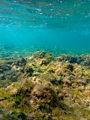 Fototapeta na wymiar Crystal clear waters of the Mediterranean