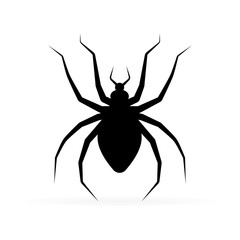 Black silhouette spider. Spider icon, Isolated. Spider logo template. Halloween symbol. Black tattoo design.