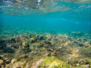 Crystal clear waters of the Mediterranean
