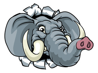 A tough mean looking elephant sports mascot breaking through the background