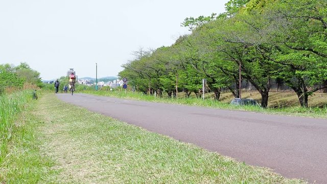 多摩川　サイクリングロード