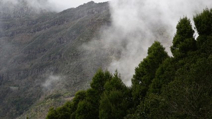 Fototapeta premium Madeira