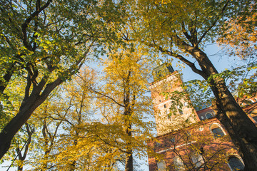 Low angle view of fall foliage and Turku Cathedral
