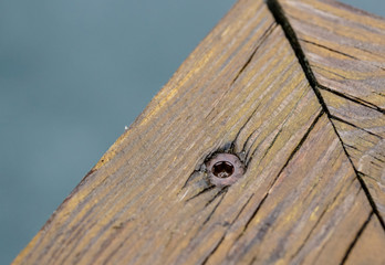 Screws screwdriver twist in wooden board. close up
