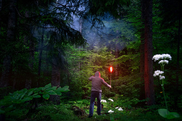 man with a torch fire in his hand walks in the evening on a green forest