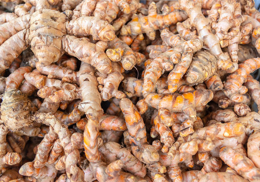 Herb medicine Tumeric root at herbal  market.