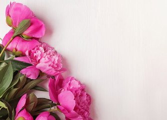 Beautiful fresh pink peonies in the white wooden background