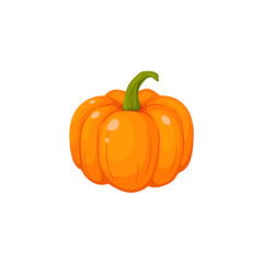pumpkin vector illustration