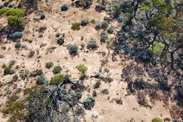 Wild australian bushland from the sky