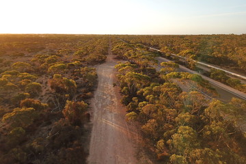 Australian outback with small eucalyptus trees