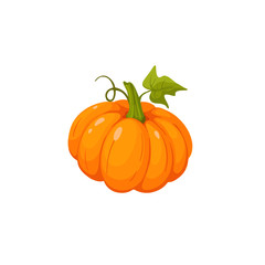 pumpkin vector illustration