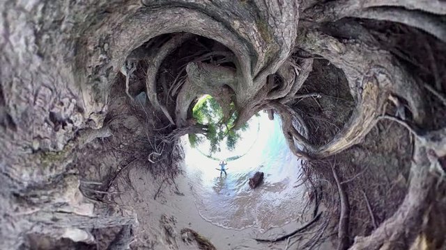 Mann schaukelt am Rheinufer unter altem Baum, Auwald, Naturerlebnis, VR, Kugelpanorama, VR360, 360VR