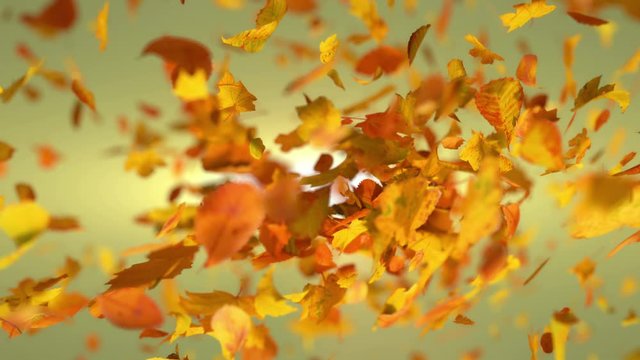 Exploding autumn leafs background