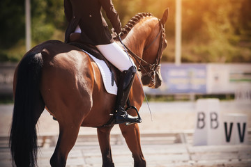The rider in a black and white suit performs the task in equestrian competitions in dressage riding...