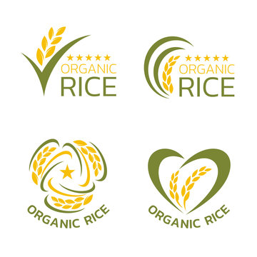 Yellow and green organic rice logo collection vector design