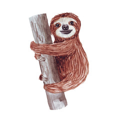 Watercolor hand painted cute sloth hanging on the tree. Cartoon little baby animal illustration in lazy style. Isolated simple character for greeting card, invites, poster, banner, print  nursery © Катерина Бородіна