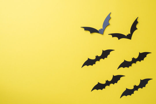 Scenery bats on a yellow background. Concept Halloween.