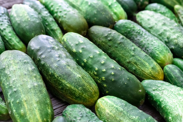 Fresh farm cucumbers on wooden background. Rustic style.