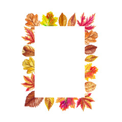 Watercolor autumn frame with  leaves isolated on white background. Illustration for greeting cards, wedding invitations, floral poster and decorations.