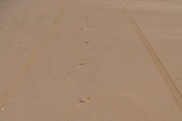 tire car track on sand in desert beach whith foot