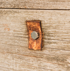 Wooden background with head bolts