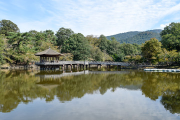 Fototapeta na wymiar 奈良県　浮見堂