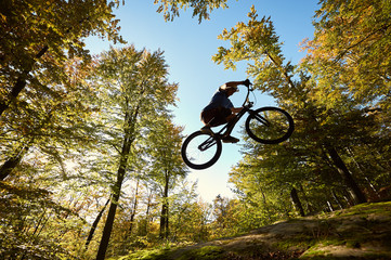 Fototapeta na wymiar Young male bicyclist jumping on trial bicycle on big boulder, professional sportsman making acrobatic stunt in the forest on sunny day. Concept of extreme sport active lifestyle
