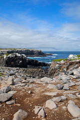 Fototapeta na wymiar Isla Espanola landscape taken in the day, Galapagos islands