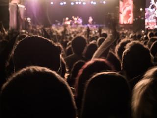 Fototapeta na wymiar People enjoying of a music concert outdoors at the night