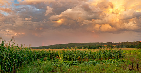Dramatic landscape at sunset