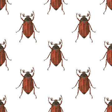 Hand drawn seamless pattern with maybugs
