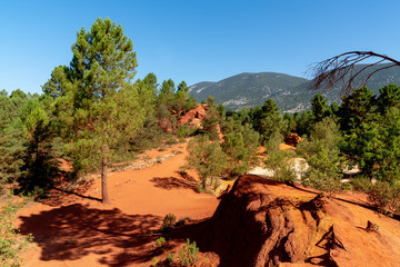 Roussillon ochre red deposit with Blue sky hills and green pines in Rustrel Luberon in France