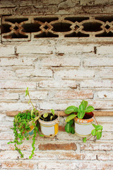 Background Flower in Used paint cans hanging on White paint Brick