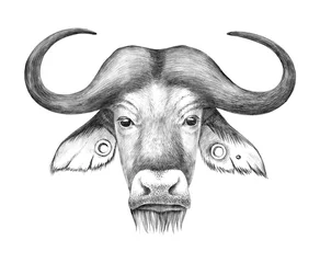 Zelfklevend Fotobehang Hand drawn anthropomorphic portrait of buffalo © Marina Gorskaya