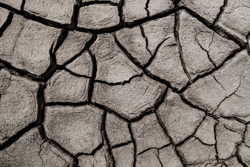 Cracked ground into the dry season