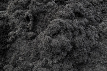 soil for planting the seedlings.
