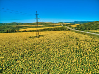 Beautiful panoramic aerial summer view at field of ripe sunflowers before the storm on the Bukhtarma mountains in the valley of the river Irtysh, eastern Kazakhstan