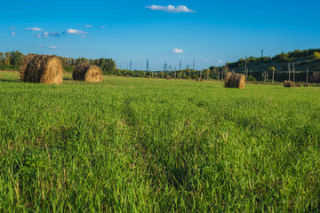 haystack lying among the green field and blue sky