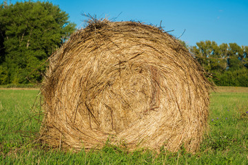 one haystack on a Sunny summer day, close-up, agriculture concept