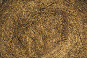 one haystack on a Sunny summer day, close-up, agriculture concept