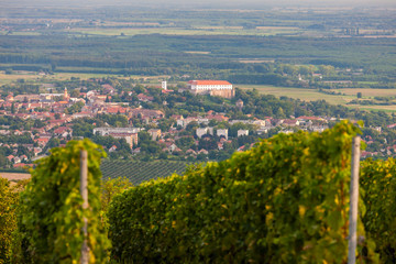 vineyards and Siklos castle, Hungary