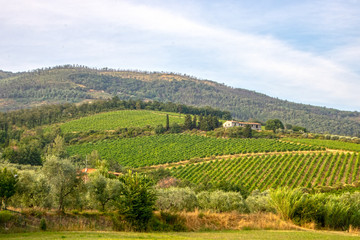 Fototapeta na wymiar tuscan countryside