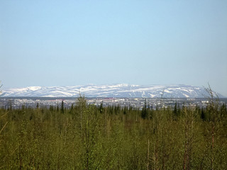 Forest tundra landscape in the summer. Taiga of Siberia. Yamal.