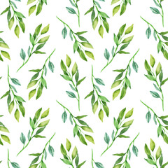 Water-colour hand painted botanical leaves and branches illustration seamless pattern, wallpaper, wrapping paper.