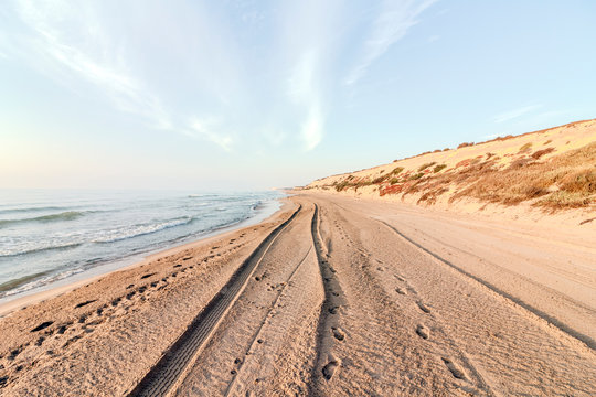 Car/human/animal paths on mediterranean beach in the village of Guardamar del Segura (Spain)